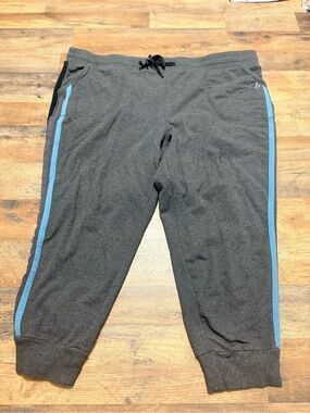Torrid Active Classic Fit Crop Jogger Pants Charcoal Gray Blue Stripe Plus Size